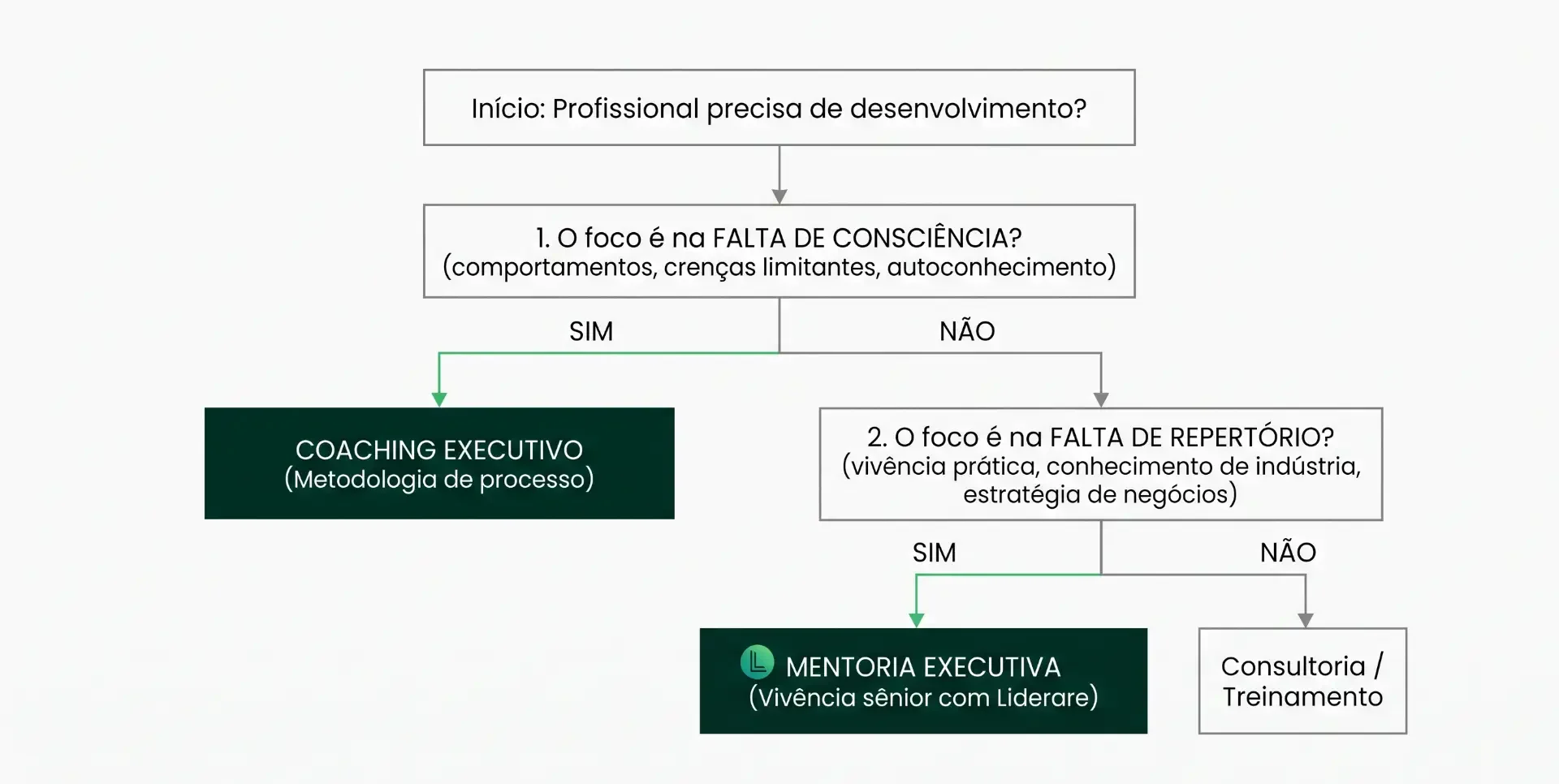 Fluxograma sobre coaching executivo e mentoria executiva: inicia com “Profissional precisa de desenvolvimento?”, segue perguntas sobre falta de consciência e falta de repertório e indica coaching, mentoria com liderança ou consultoria/treinamento.