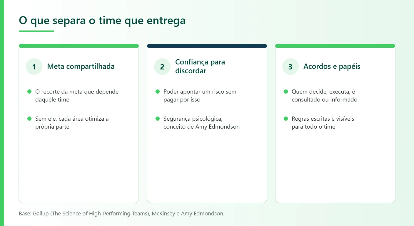 Liderare Consulting, fatores de desempenho de equipe: meta compartilhada, confiança para discordar e acordos e papéis definidos